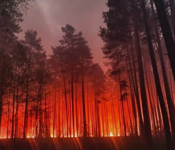 Pożar Puszczy Solskiej